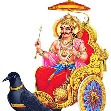 Shani Jayanti Special Homam
